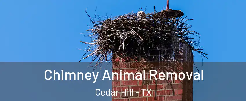 Chimney Animal Removal Cedar Hill - TX