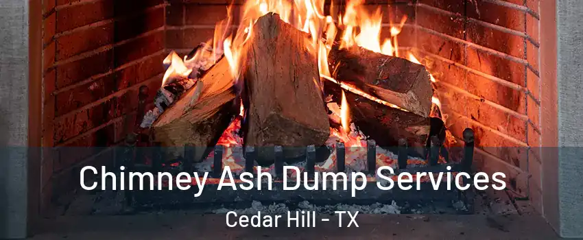  Chimney Ash Dump Services Cedar Hill - TX
