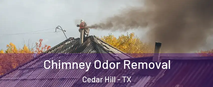  Chimney Odor Removal Cedar Hill - TX