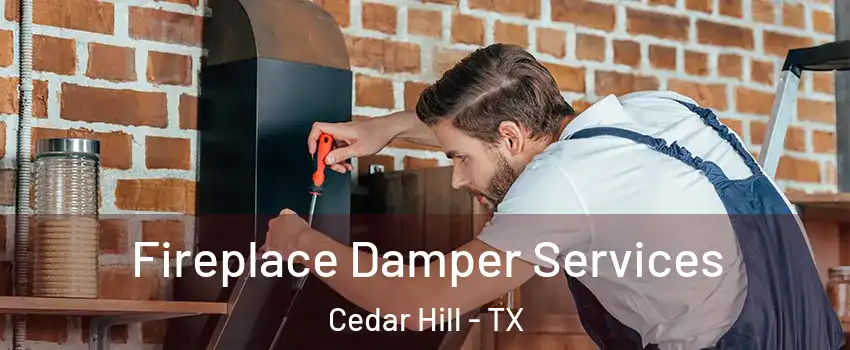  Fireplace Damper Services Cedar Hill - TX
