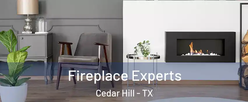  Fireplace Experts Cedar Hill - TX