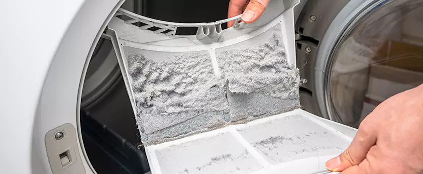 Best Dryer Lint Removal Company in Cedar Hill, Texas