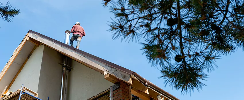 Birds Removal Contractors from Chimney in Cedar Hill, TX
