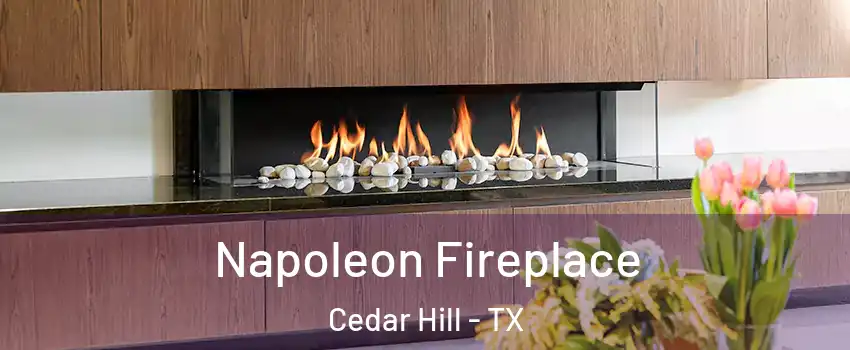  Napoleon Fireplace Cedar Hill - TX